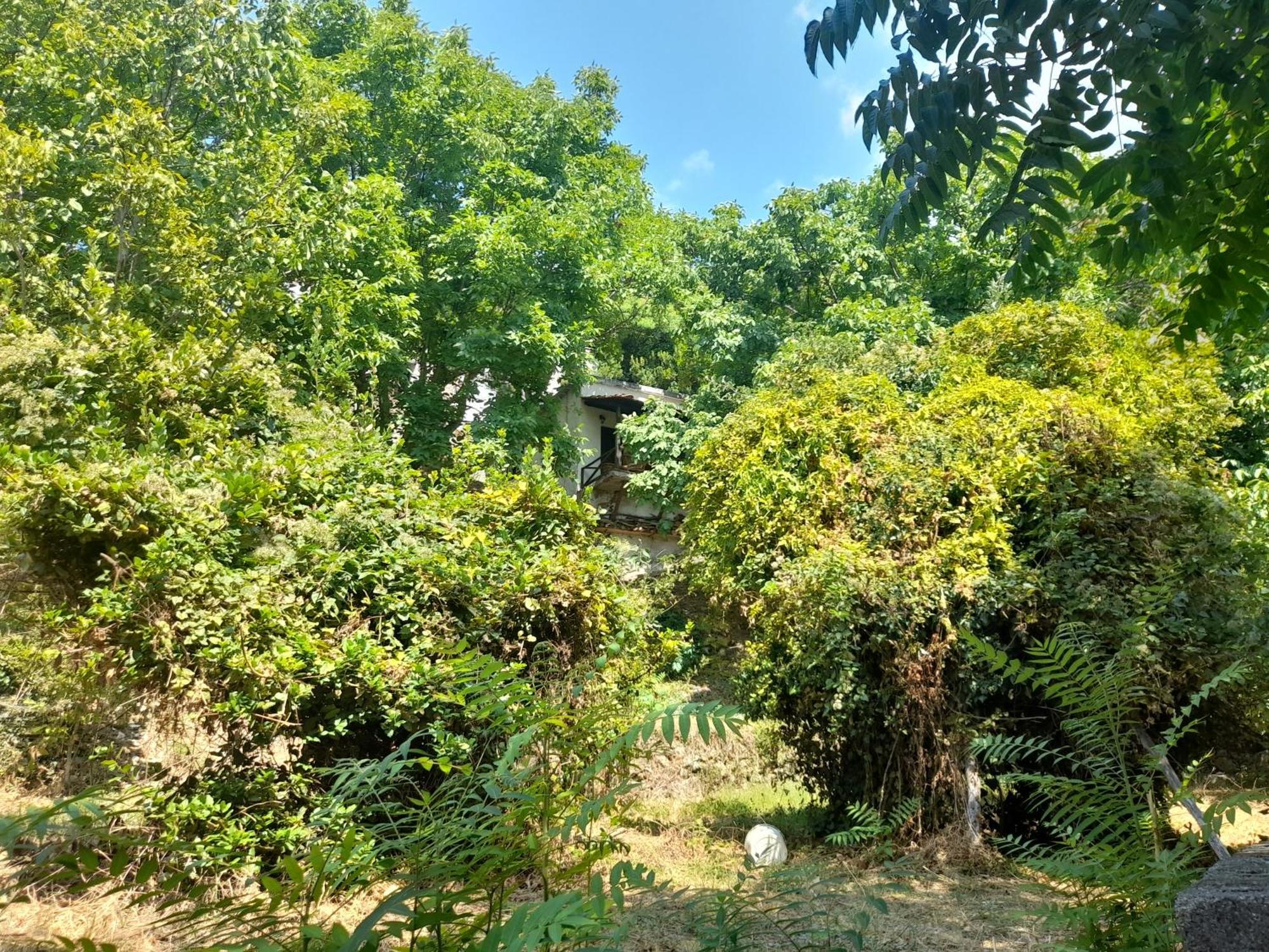 Mountain And Sea View Villa Mileai Exterior photo